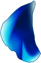 petal