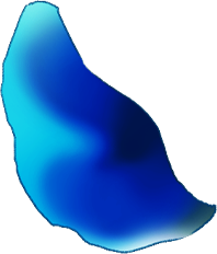 petal