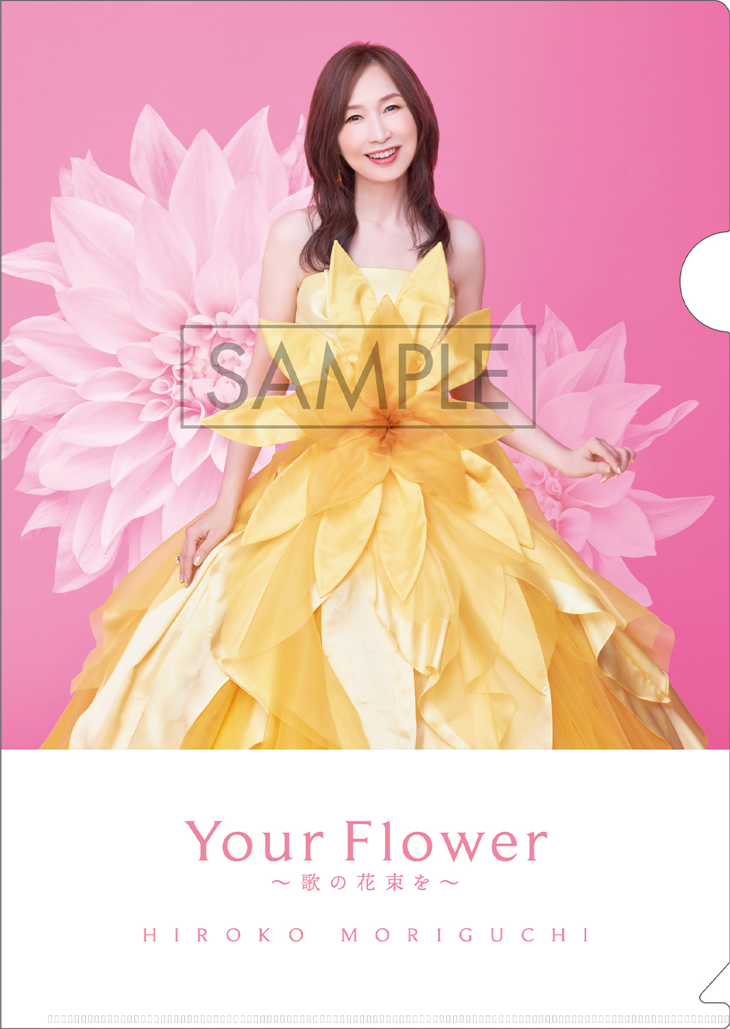 A4サイズクリアファイル